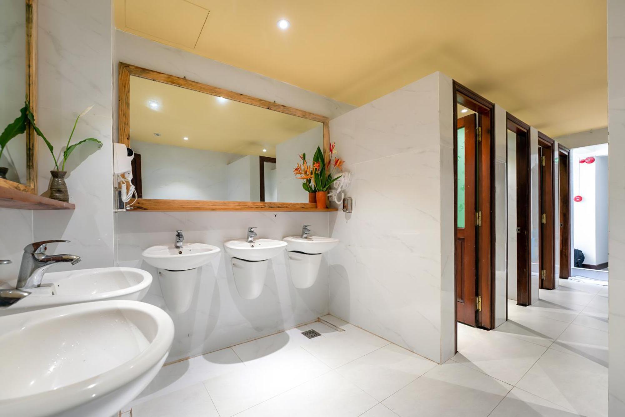 Harmony Old Town Hostel And Pool Bar 会安 外观 照片